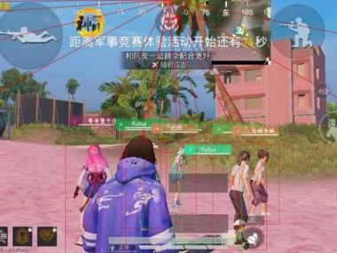 和平精英火焰鸟直装下载 - 快速部署型外挂工具